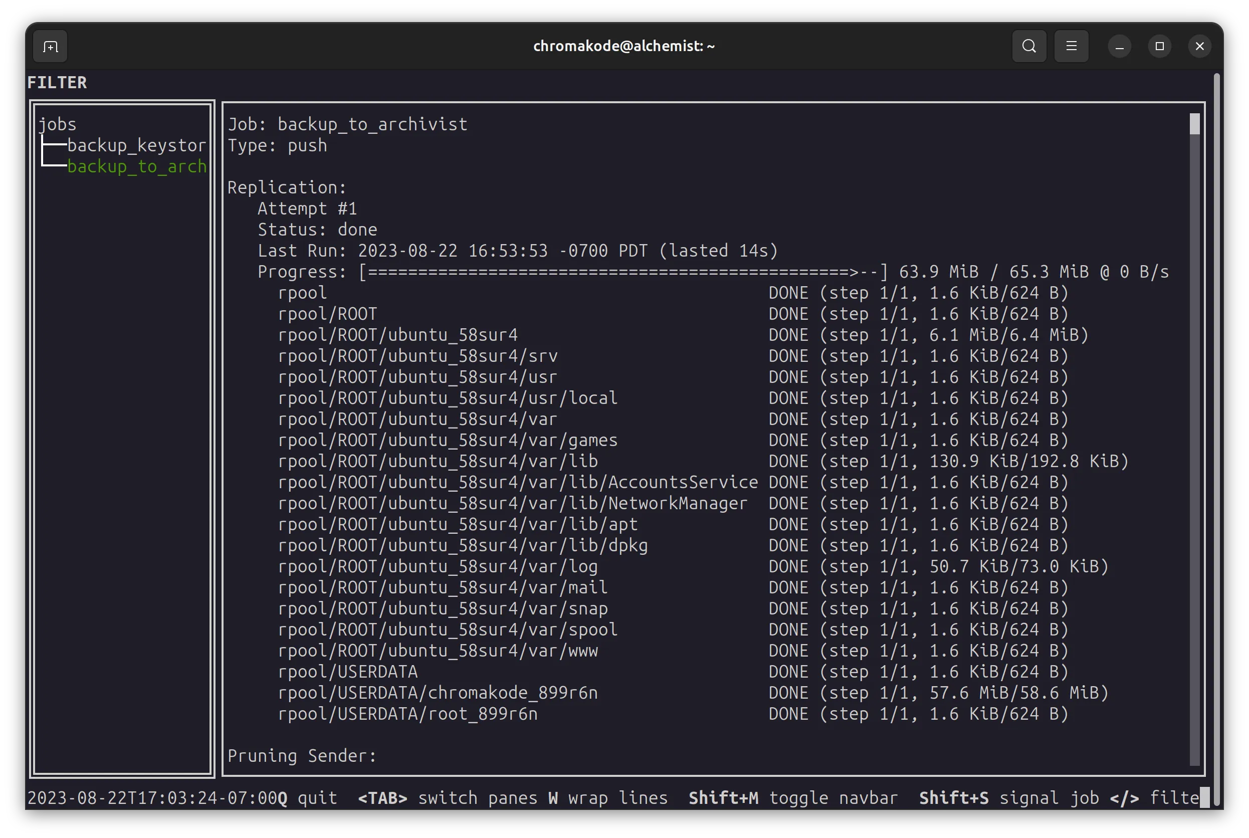 Screenshot of a terminal running the zrepl status screen, showing a finished replication run with a full progress bar and a list of datasets replicated, all marked done.